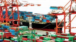 Port Trust